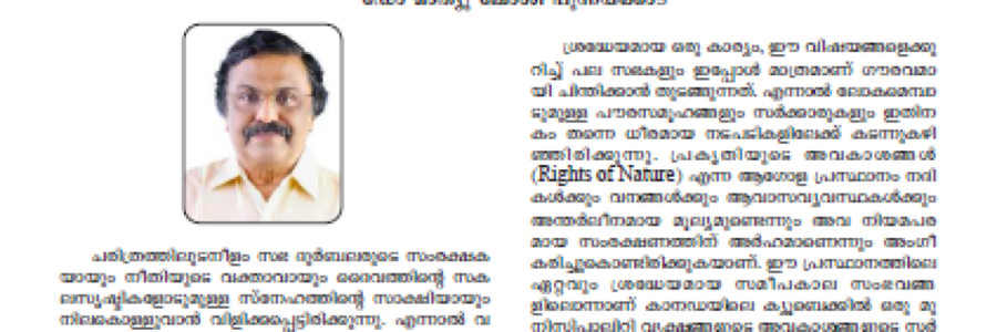 സഭയും വൃക്ഷങ്ങളുടെ അവകാശങ്ങളും